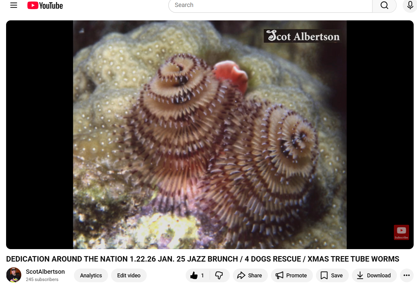 Screenshot 2026-01-22 194519